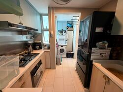 Mera Springs (D8), Condominium #547553211